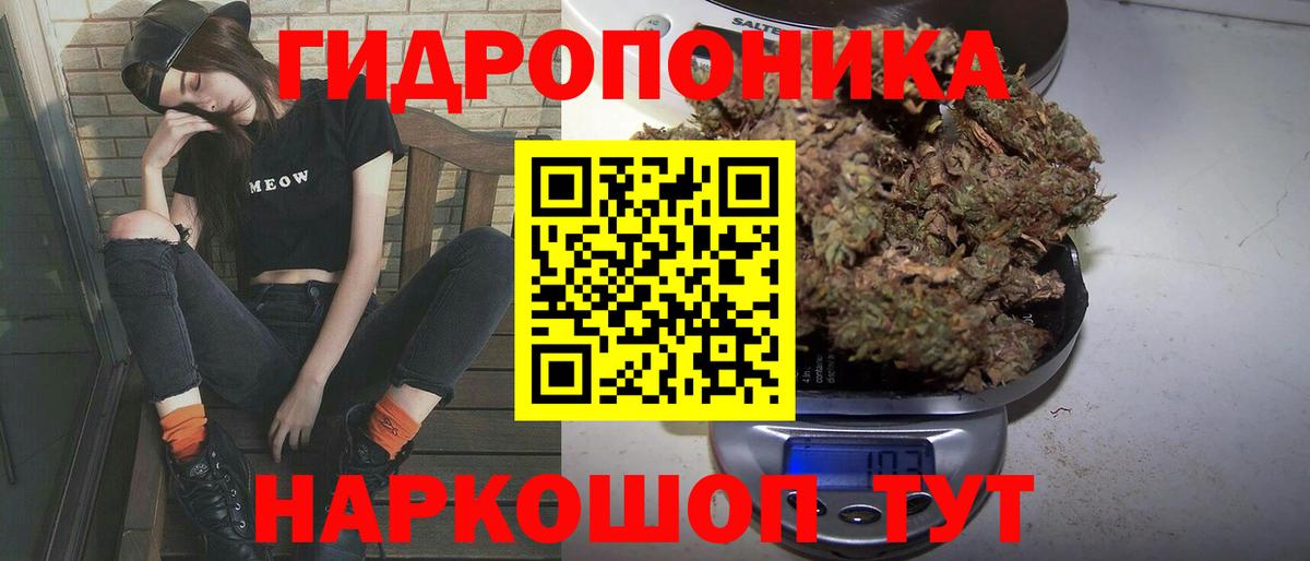 Марихуана Amnesia Тайшет